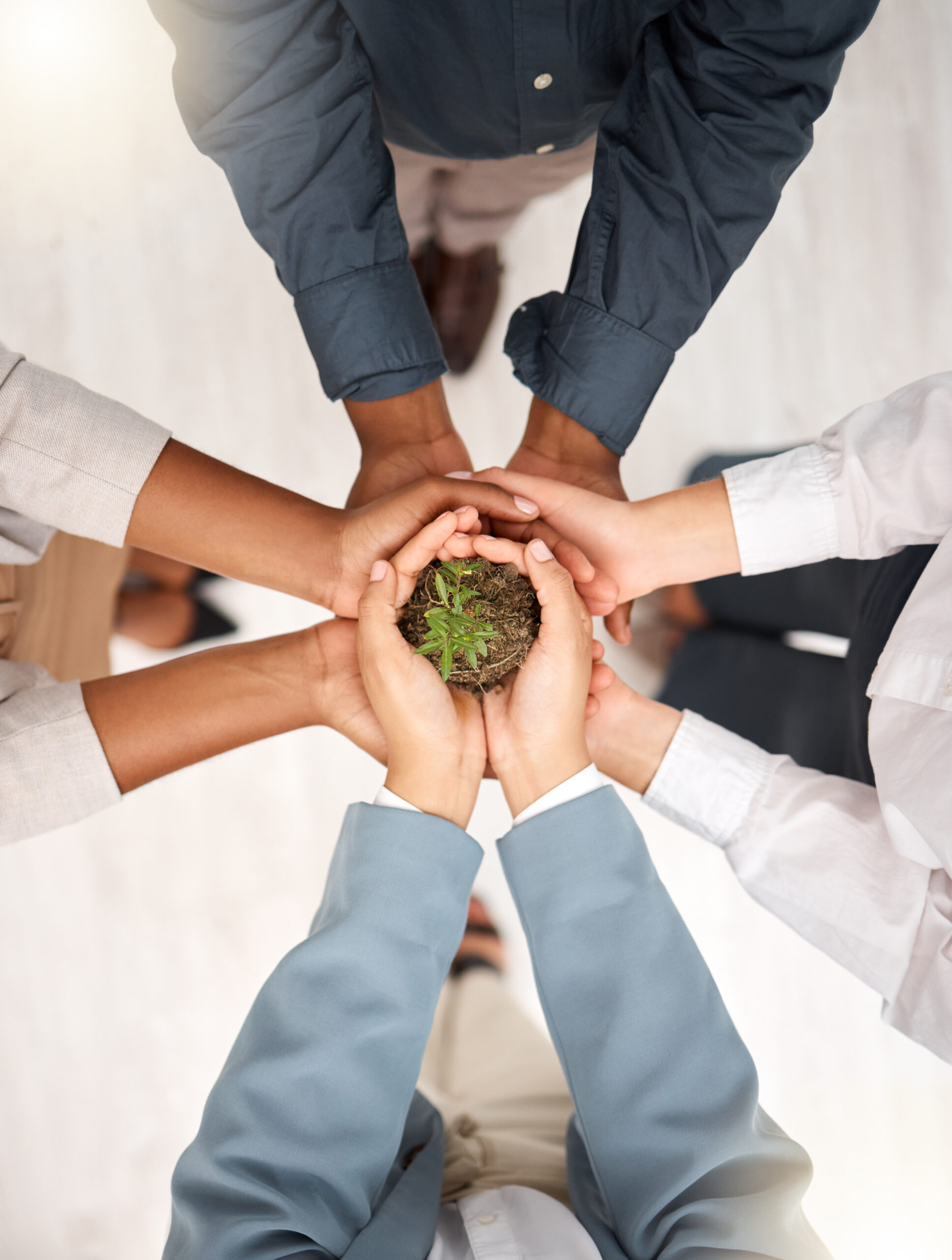 support-environment-and-plant-with-hands-of-busin-2023-02-28-05-47-56-utc Support, environment and plant with hands of business people for sustainability, earth day and grow.