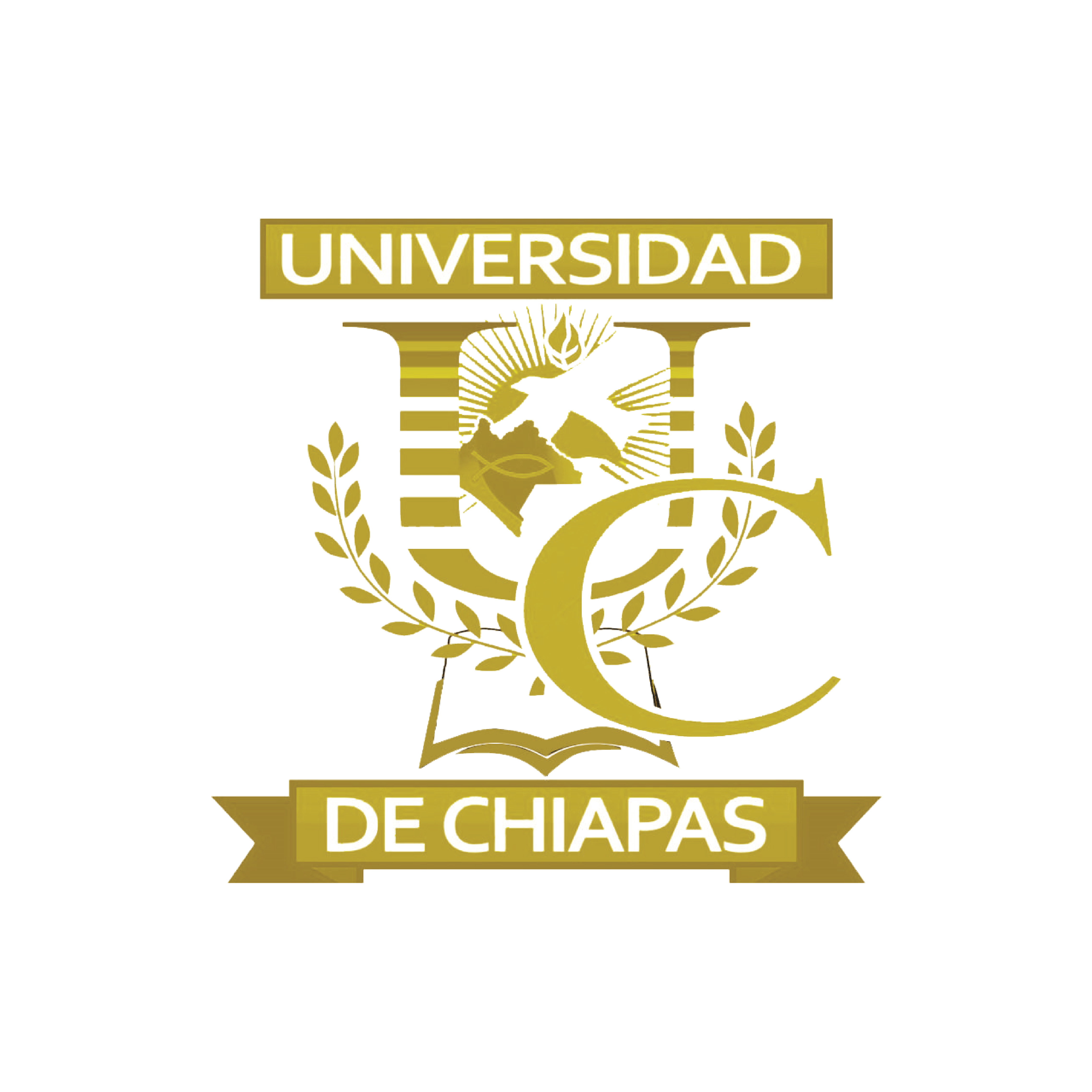 logo web_Mesa de trabajo 1 copia 3